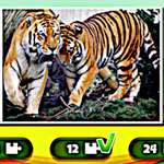 Rompecabezas de tigres con fotos coloridas reales